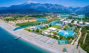 Immer Transfer zum Transportbalken des Resorts